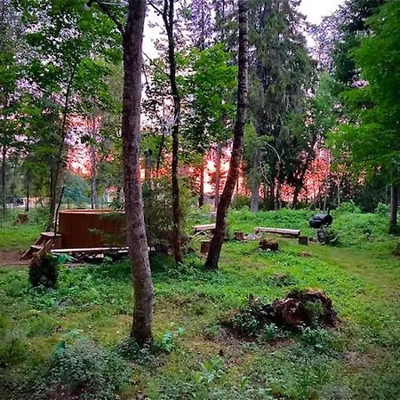 Tiigrisilma Treehouse *