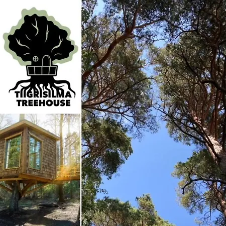Tiigrisilma Treehouse Campeggio